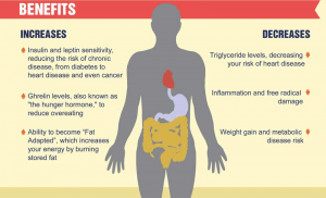 eat stop eat benefits